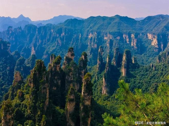 张家界国家森林公园旅游攻略_张家界天气_张家界旅游攻略