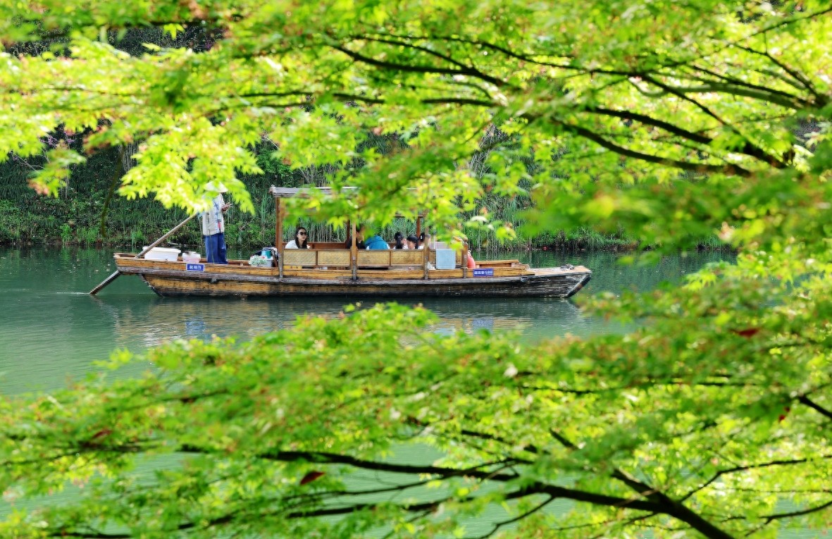今日天气丨骤降9℃！浙南将有中到大雨，局地暴雨