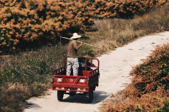 大茅村的她给余华写了一封信