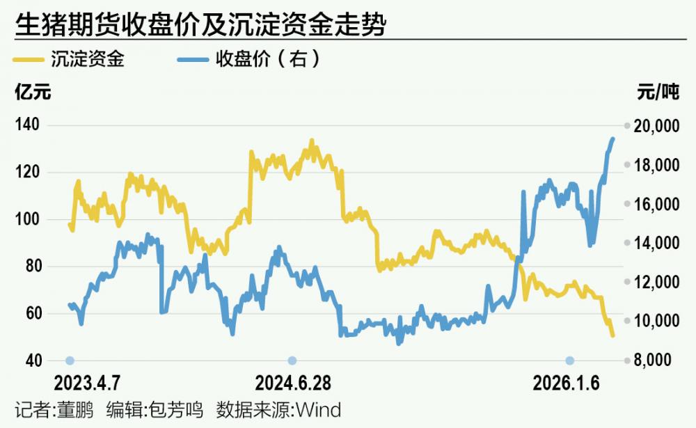 “多头不死、空头不止” 逾百亿资金鏖战生猪期货