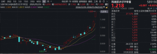 科创芯片猛攻！海光信息20CM涨停，寒武纪、佰维存储历史新高，华宝基金科创芯片ETF（589190）涨超8%